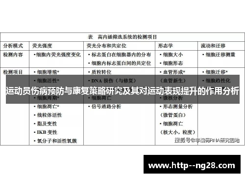 运动员伤病预防与康复策略研究及其对运动表现提升的作用分析