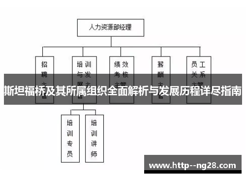 斯坦福桥及其所属组织全面解析与发展历程详尽指南